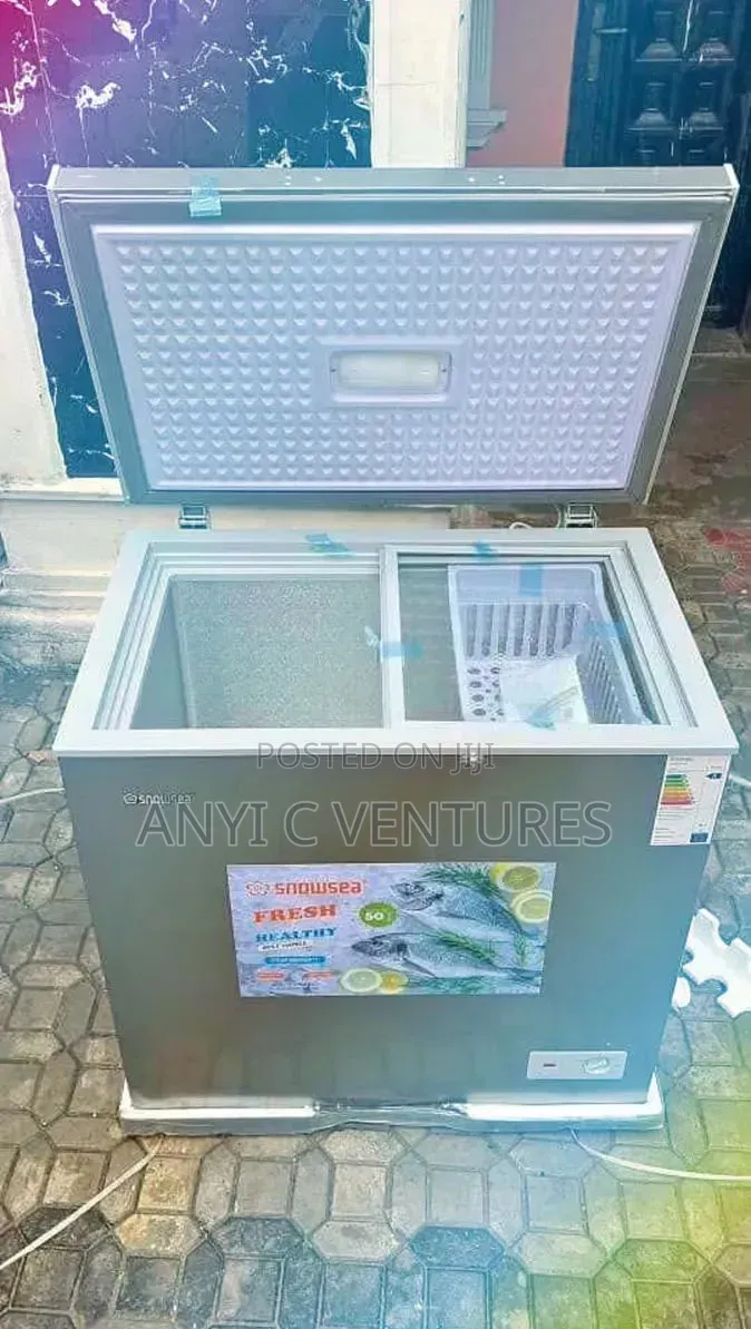 Snowsea 200ltes Freezer