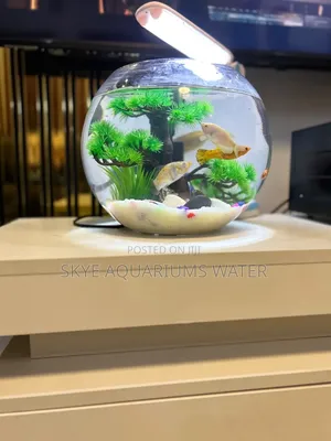 20 Litres Big Fish Bowl