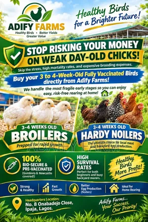 3 Weeks to 4 Week Boiler Chicken