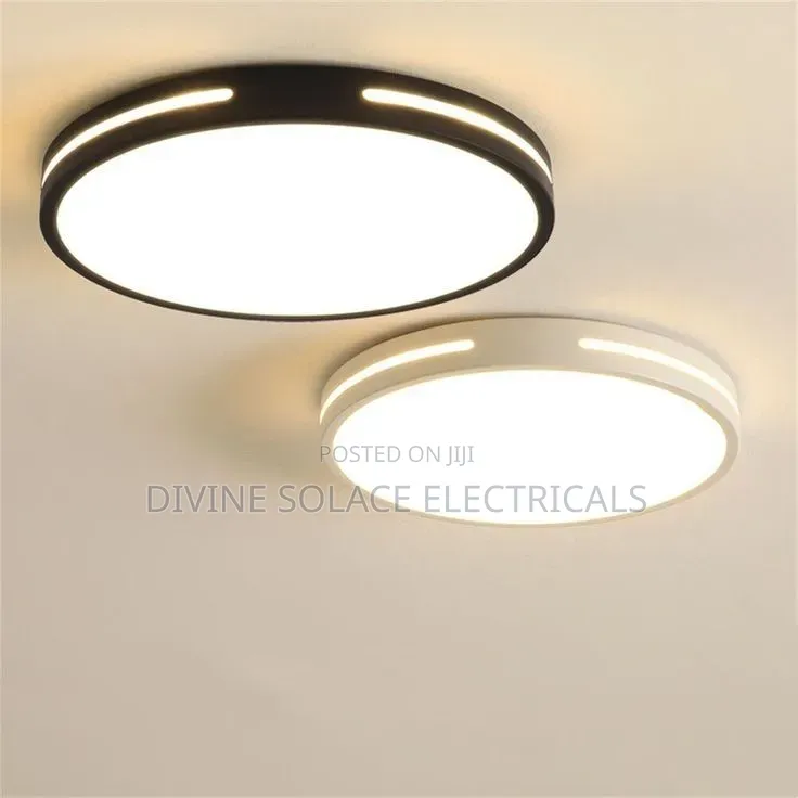 Ceiling Light
