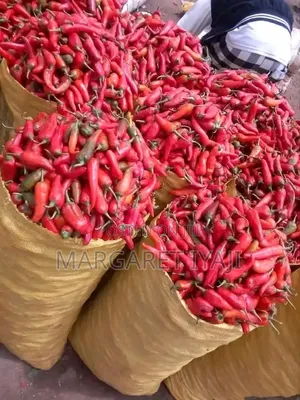 Fresh Red Chilli Pepper — Hot, Fresh & Full of Flavour!