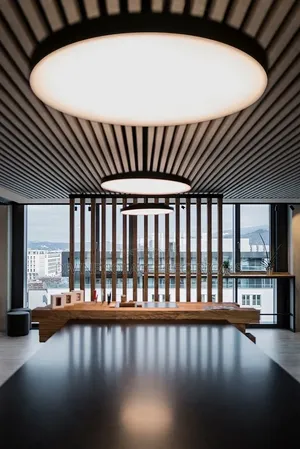 Grey Ceiling Fitting