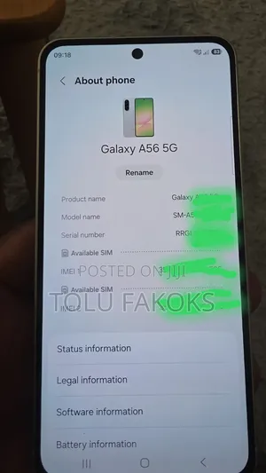 Samsung Galaxy A56 256 GB Silver