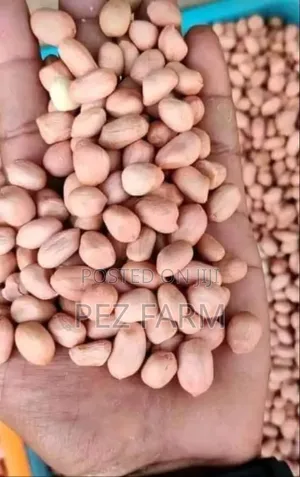 Bag of Groundnut