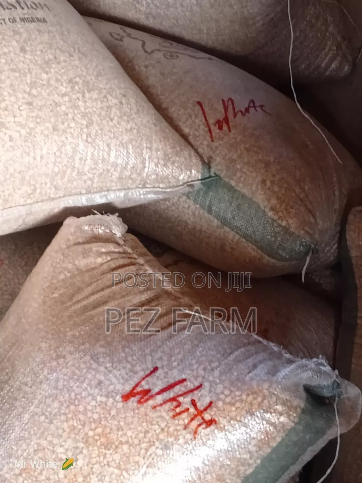 Bag of Maize Corn