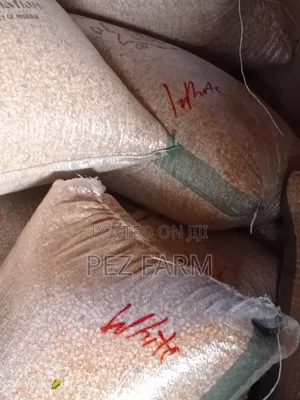 Bag of Maize Corn