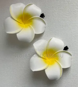 Pumeria Hair Clip