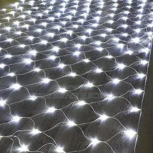Net Christmas Light