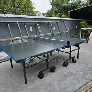 Foldable All-Weather Table Tennis Table Heavy Duty Wheels