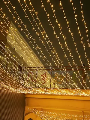 Straight Christmas Light