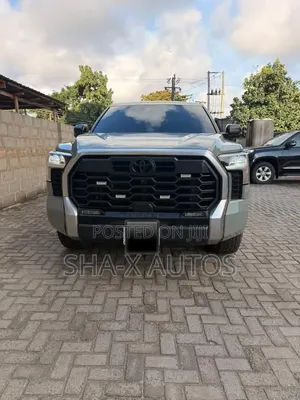 Toyota Tundra 2024 Brown