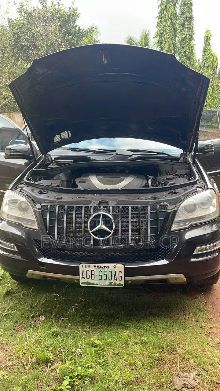 Mercedes-Benz M Class 2009 Black