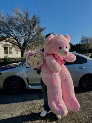 Lealta Human Size Teddy Bears, Lagos Mainland Big Teddy
