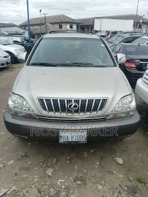 Lexus RX 2002 Gray