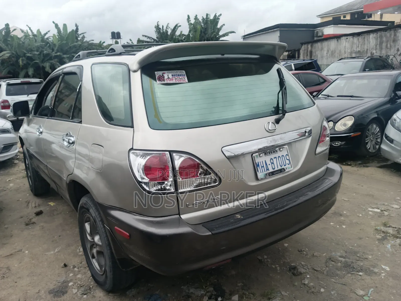 Lexus RX 2002 Gray