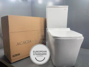 European Standard Toilet Seat