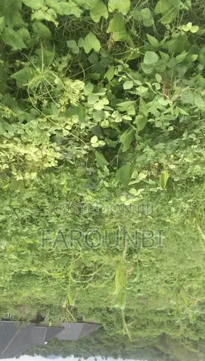Land at Oniyanrin