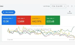 Google Ads / Meta Ads Management | Paid Traffic Conversions