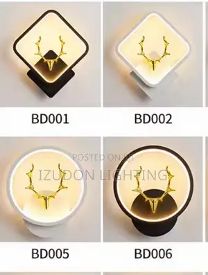 Luxury New Model Wall LED Light for Your Room