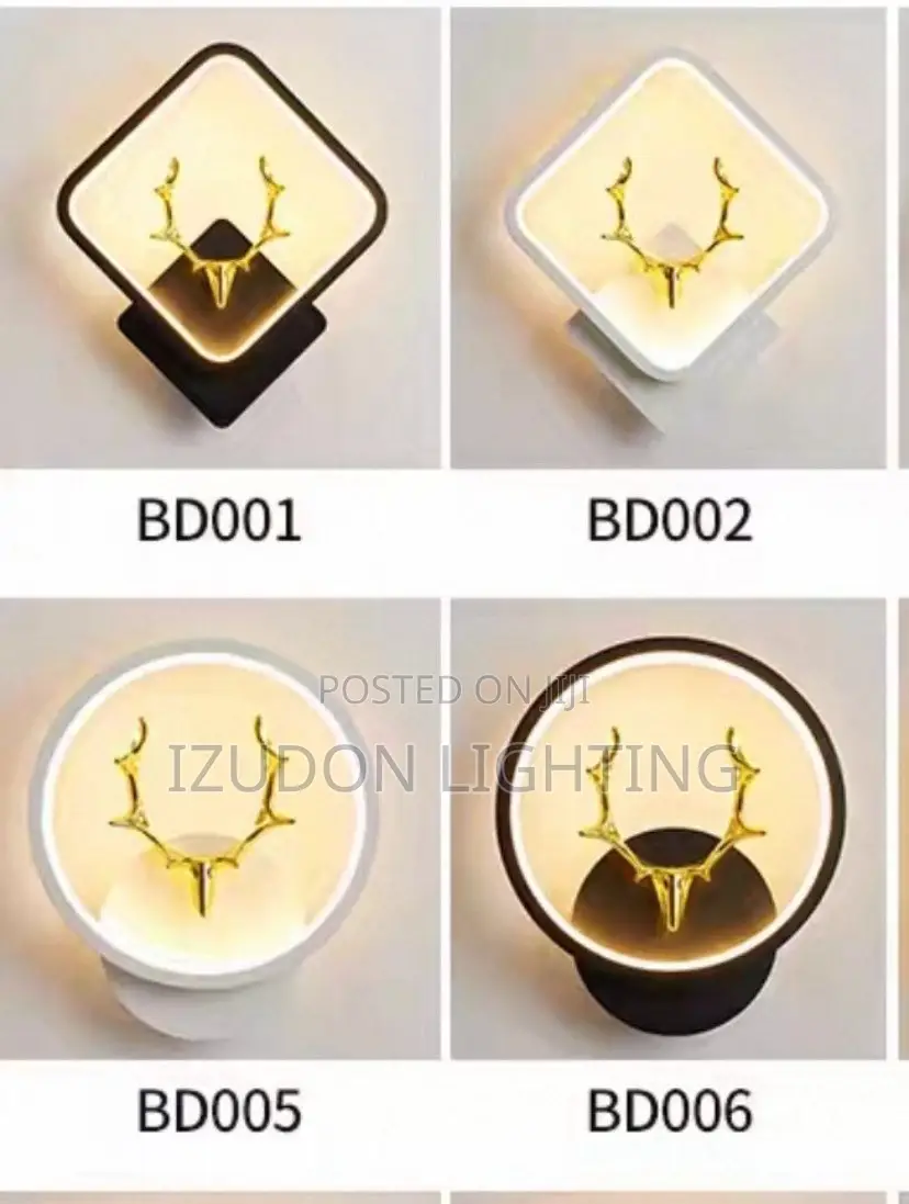 Luxury New Model Wall LED Light for Your Room