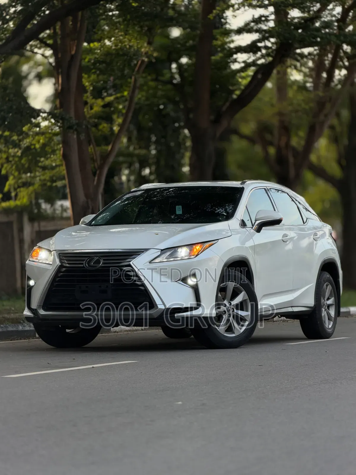 Lexus RX 2019 White