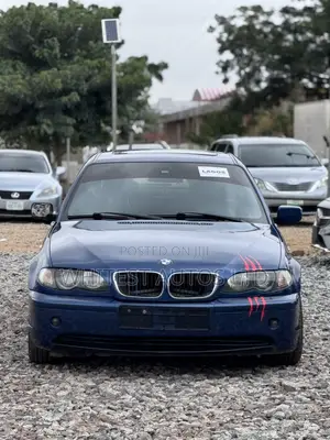 BMW 320i Sedan RWD 2004 Blue