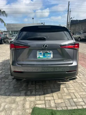 Lexus NX 300h AWD 2019 Gray