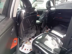 Lexus RX 350 2010 Silver