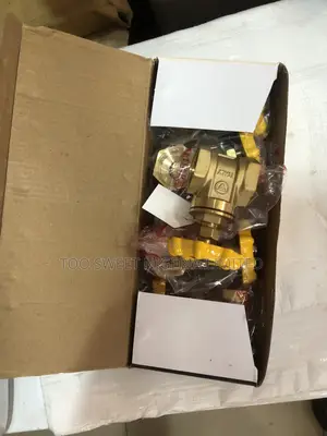 1” Inche Gauge (Gate) Valve