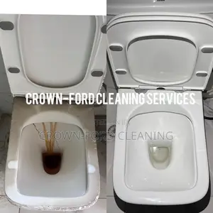Cleaning Services