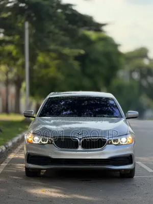 BMW 530i 2019 Silver