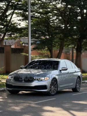 BMW 530i 2019 Silver