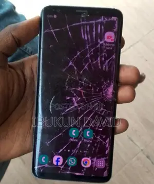 Samsung Galaxy S9 Plus 64 GB Blue