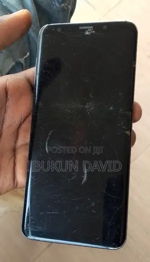 Samsung Galaxy S9 Plus 64 GB Blue