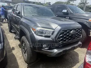 Toyota Tacoma 2020 Gray