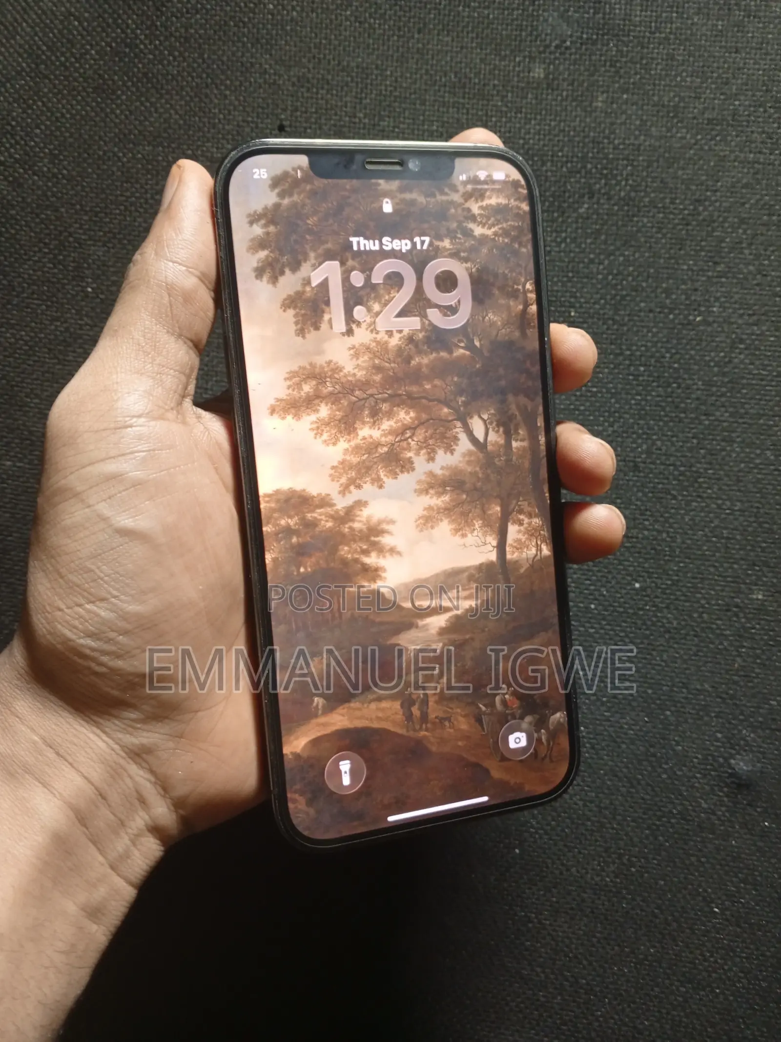 Apple iPhone 12 Pro Max 256 GB Gray