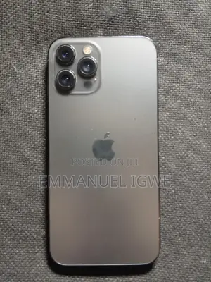 Apple iPhone 12 Pro Max 256 GB Gray