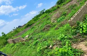 50*100 Piece of Land for Sale