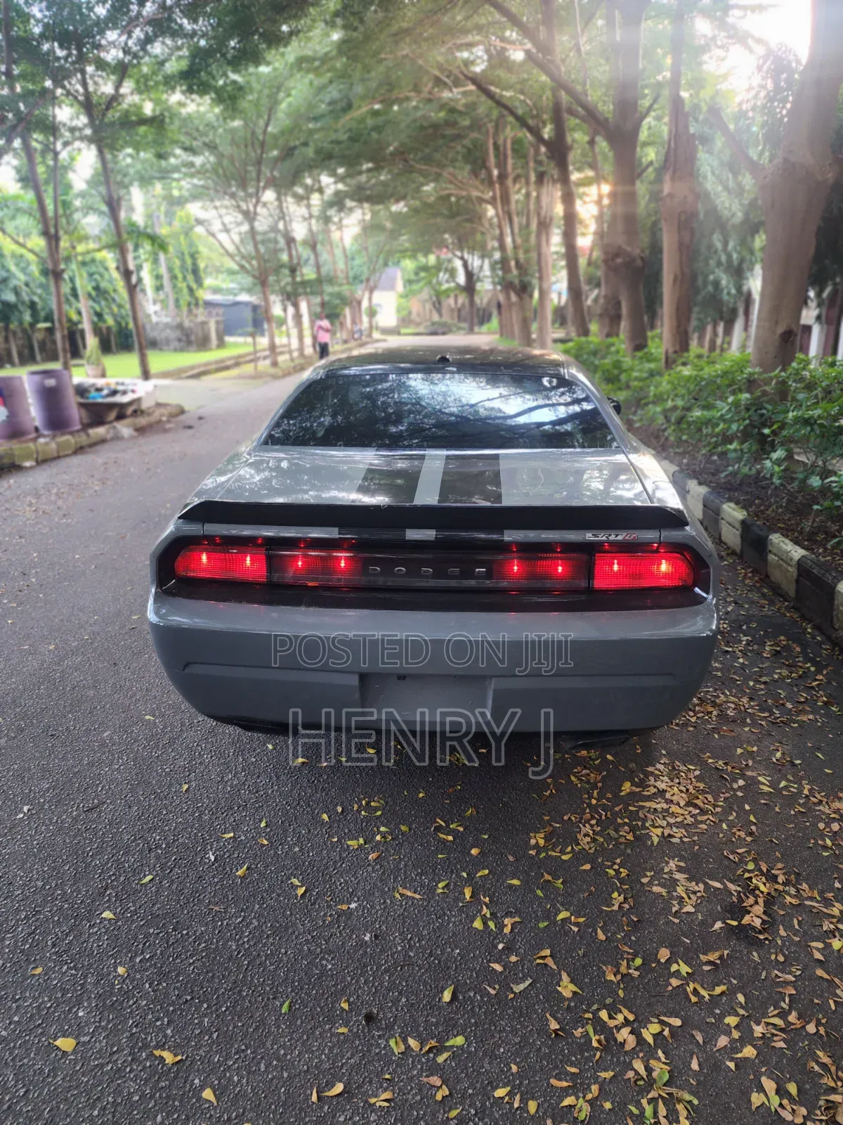 Dodge Challenger 2010
