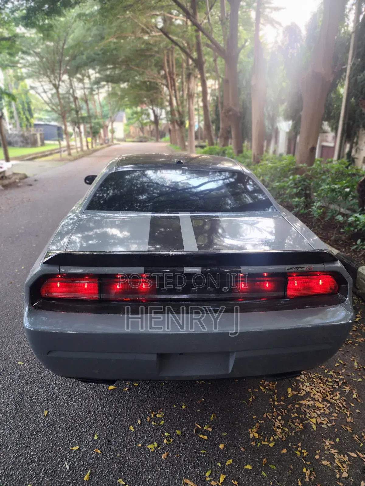 Dodge Challenger 2010