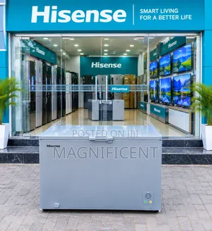 Brand New Hisense Deep Freezer 300l Inverter