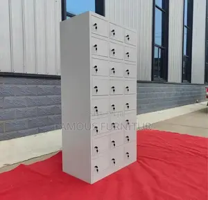 This Is a 24-Door Worker Locker model.with Individual Key-Locked Doors