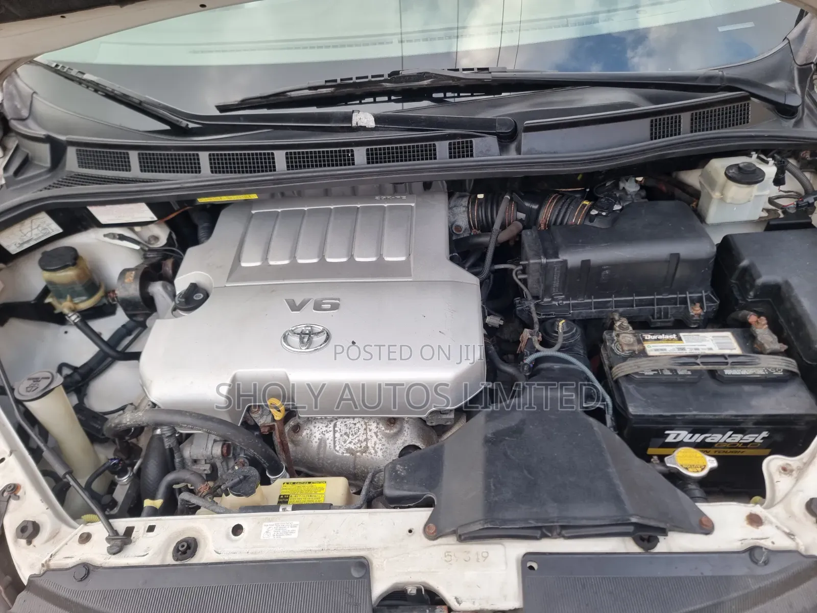 Toyota Sienna 2007 White