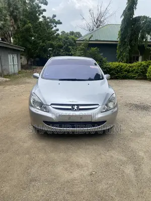 Peugeot 307 2003 Silver