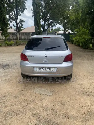 Peugeot 307 2003 Silver