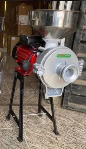 Industrial Wet and Dry Grinder