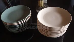 2 Dozens Ceramic Plates