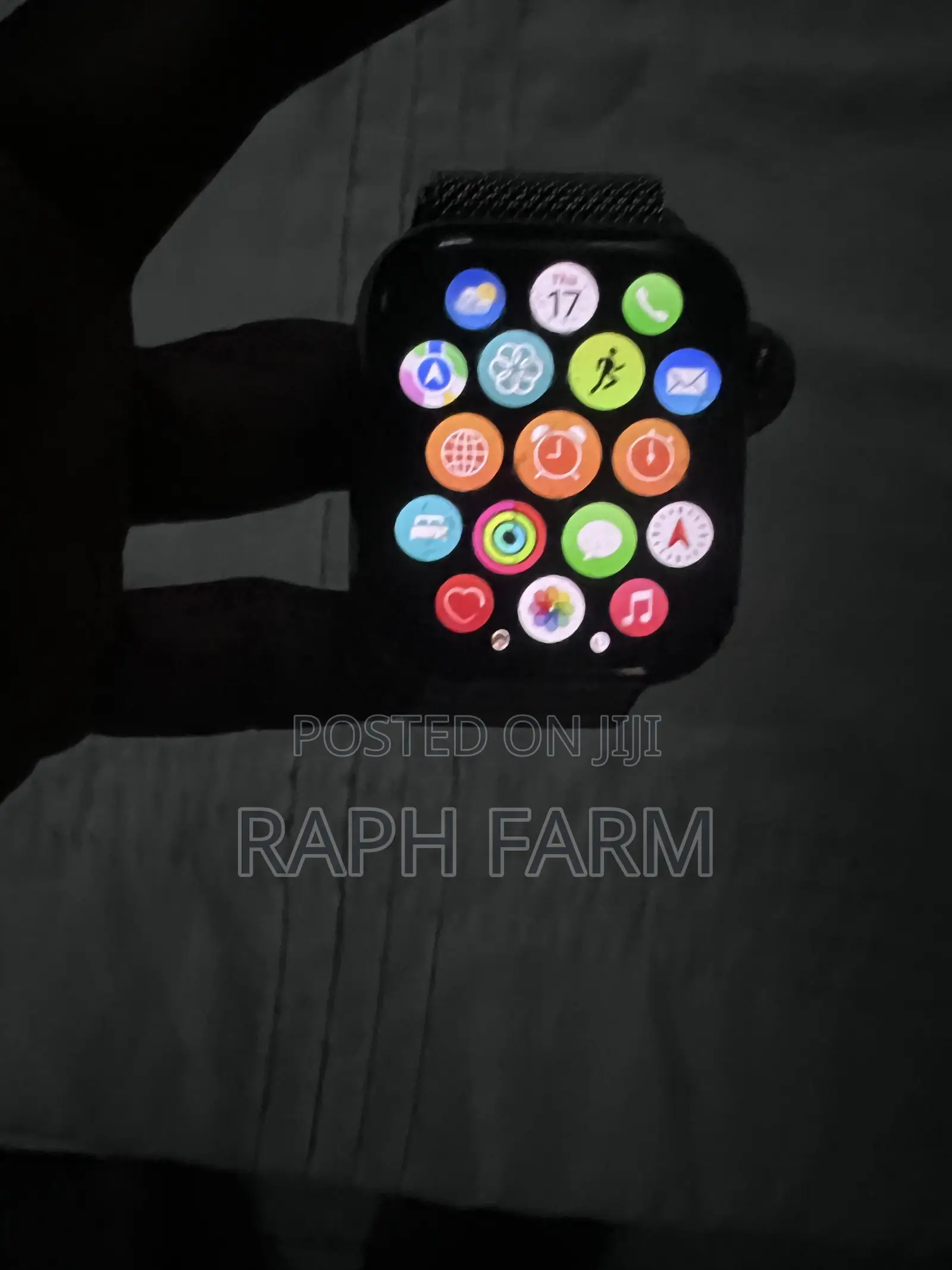 Apple Watch