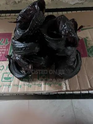 Dry Catfish