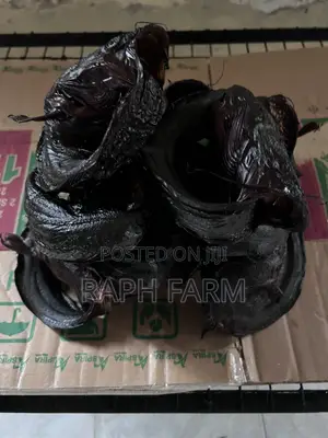 Dry Catfish